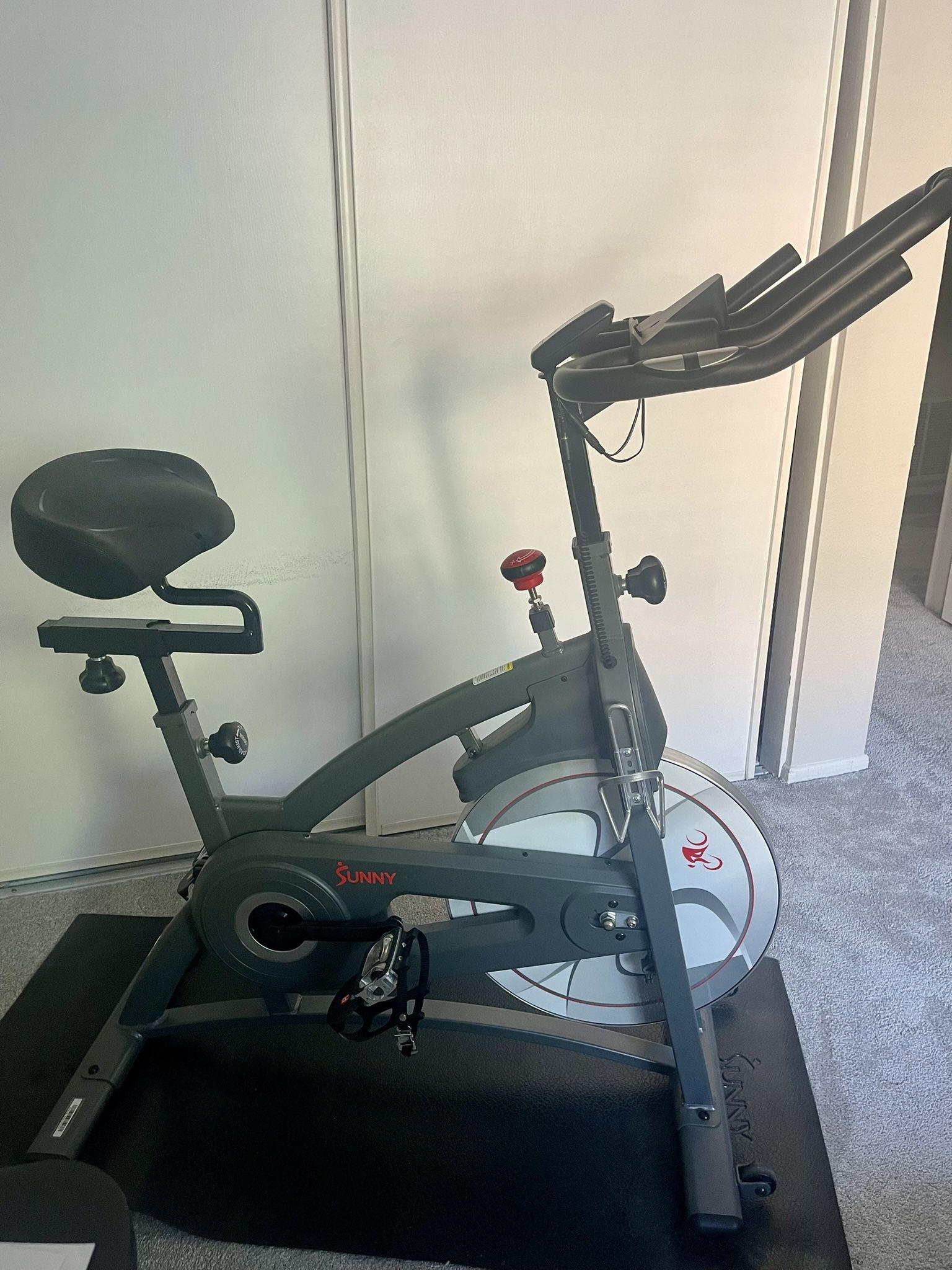 Sunny Spin/cycling Bike