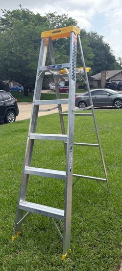 Werner 6 ft. H Aluminum Step Ladder Type I 250 lb. cap.