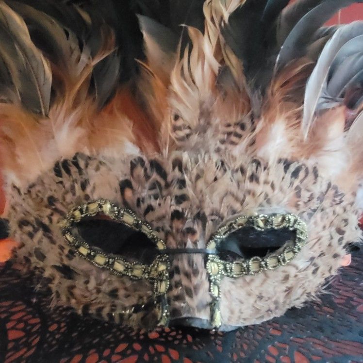 Masquerade Feathered Mask