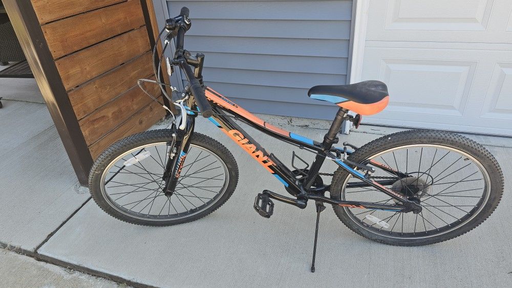 Giant GTX Jr. 20" Mountain Bike