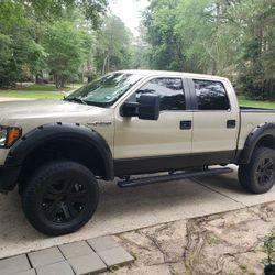 2009 Ford F-150
