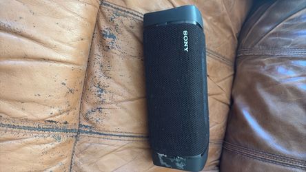 Sony speaker