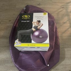 Fitness Ball W/ Air Pump