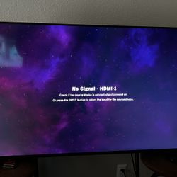 Vizio 55” Smart TV