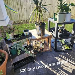 Pick any two for $20 eclectic plant stands planter stand pot foliage table Garden
