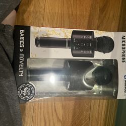 Karaoke Microphone
