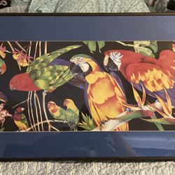 tropical birds Hard to find 1980s framed Barbara Wallace print tropical birds