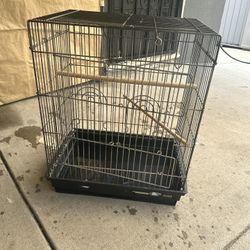 Bird Cage