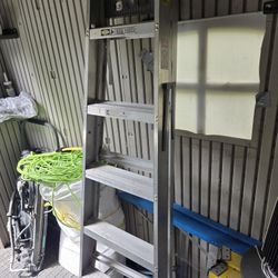 Ladders 6ft