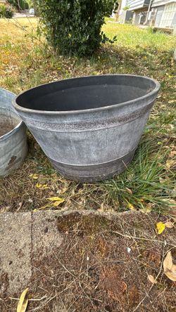 Garden whiskey barrel