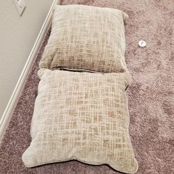 Set Of 2 Grey Pillows