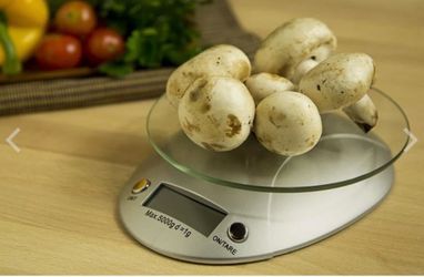 Digital Kitchen Scale