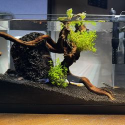 3 Gallon Fish tank (High-end Bonsai Tank)