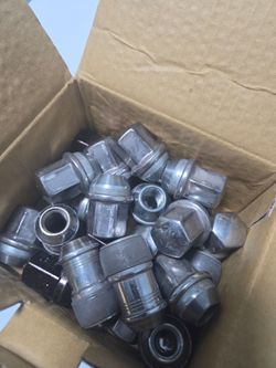 Assorted luggage nuts