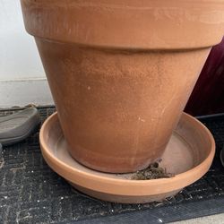 Clay planter with saucer 
