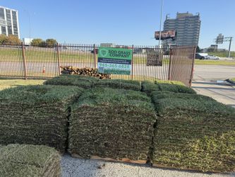 Grass For Sale