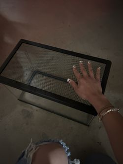 mini reptile tank