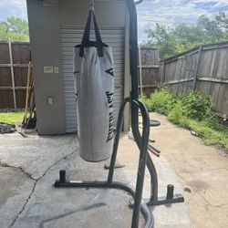 Punching Bag and Stand