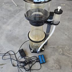 fish tank aquarium 
