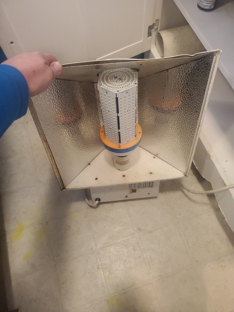 Growing Lamp With New LED Bulb