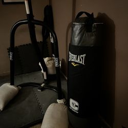 Everlast Punching Bag with Stand