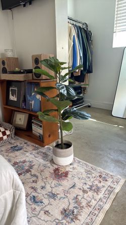 Faux eucalyptus house plant and pot