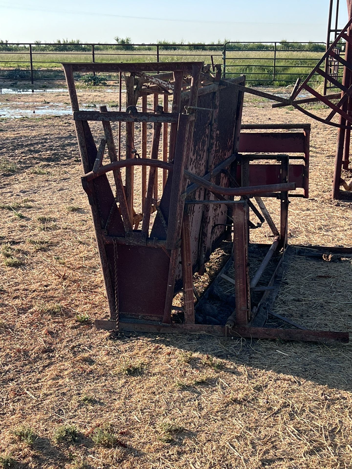 Calf Table/Squeeze For Sale