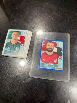 Panini World Cup cards $