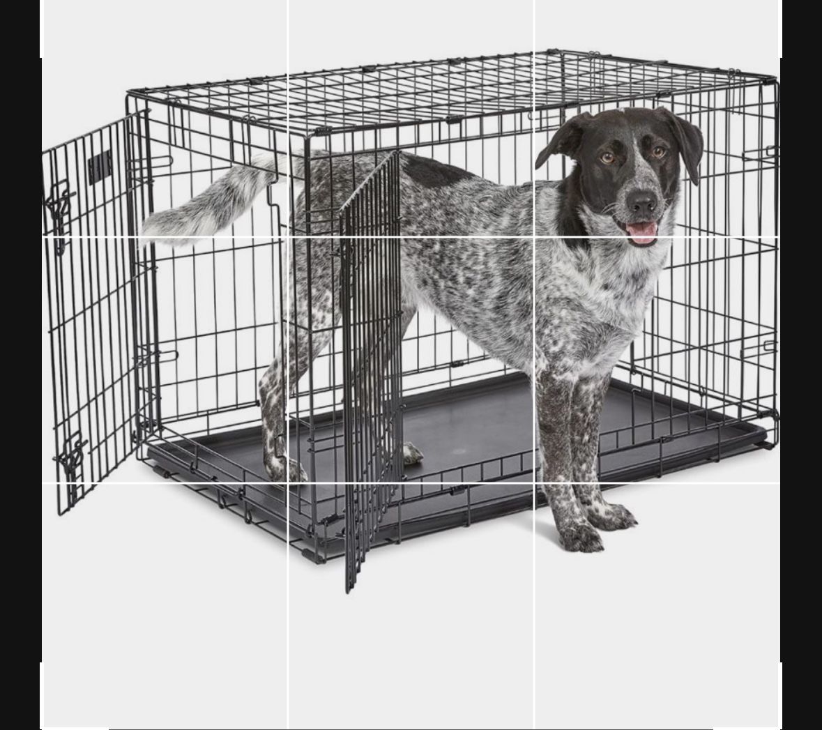 Intermediate Size Crate/Kennel & Accessories