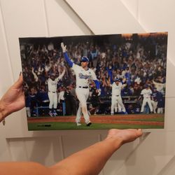 Dodgers Freeman Decor