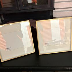 Picture Frames/Crate & Barrel Frames/metal picture frames
