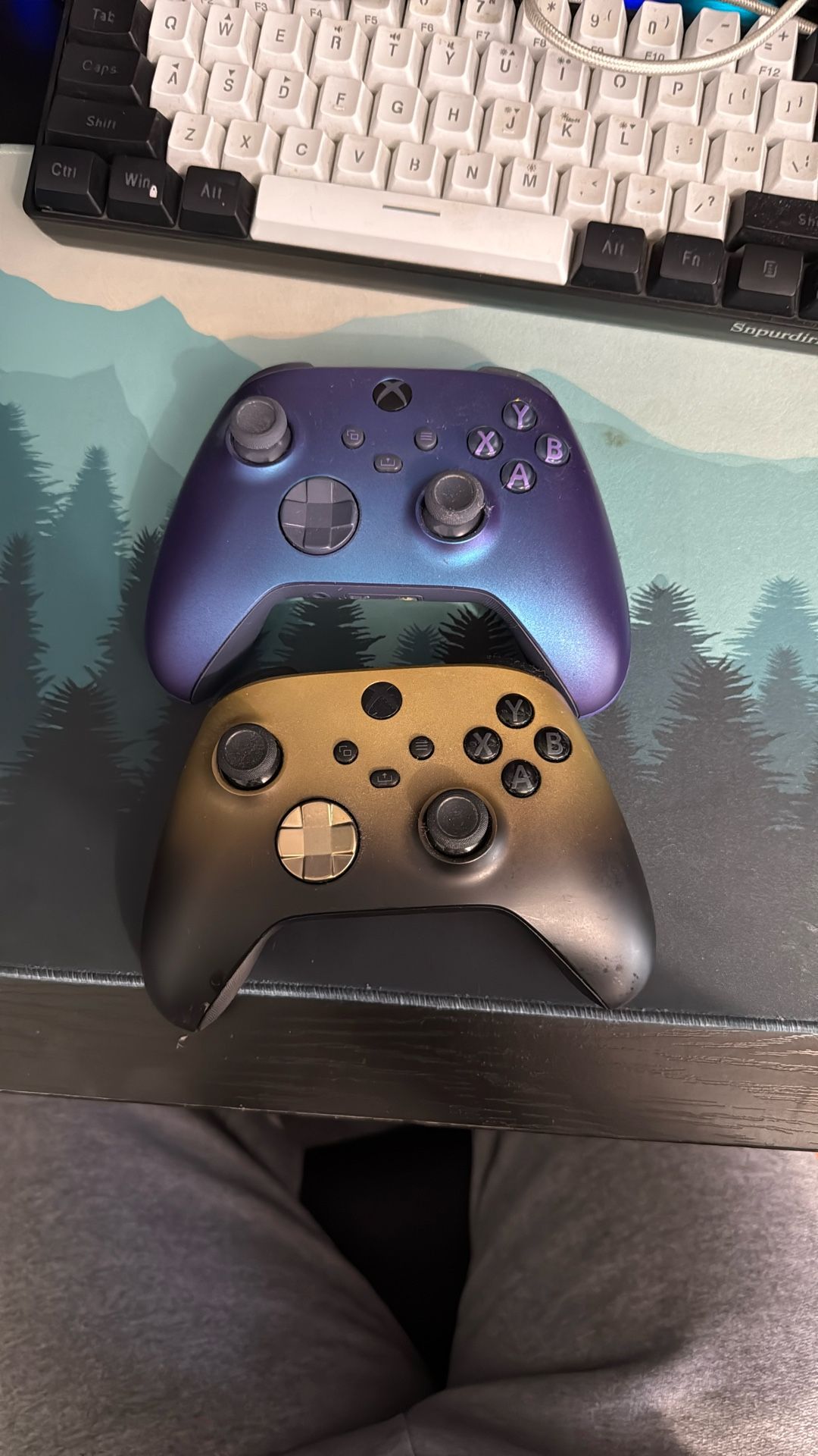Xbox Series X Controllers