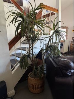 Fake plant