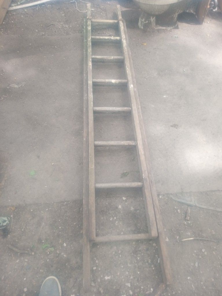 Vintage Wood Extension Ladder