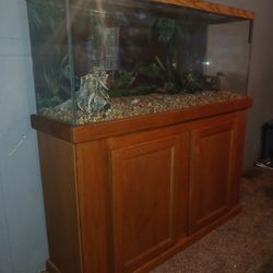 Fish,lizard Tank For Sale