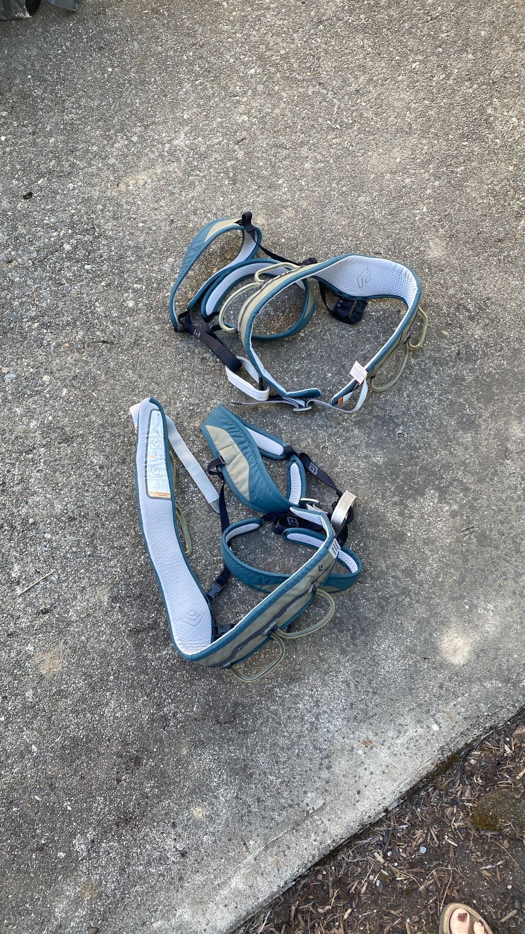 Two Black Diamond Climbing Harnesses