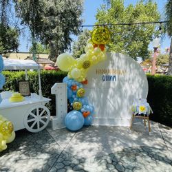 Backdrops And Balloon Garlands 