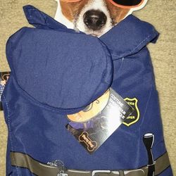 Size Extra Small And Small Dog Or Cat Costumes