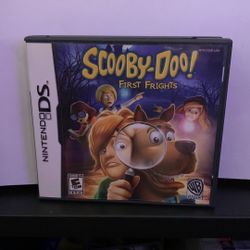 Nintendo DS Scooby Doo 