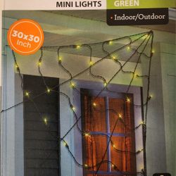 Halloween spider web lights ( 2 boxes)