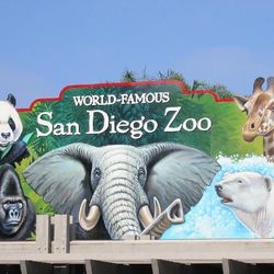 4 san diego zoo tickets $30ea expire 04/23