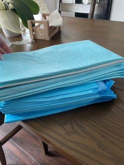 Puppy Potty Pads (16 ct)