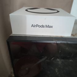 Air Pods Max