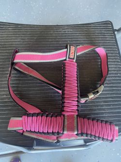 Kong Dog Harness