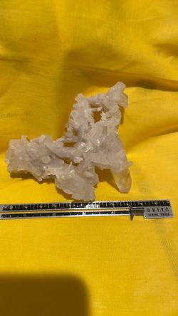 Clear Quartz Crystal Cluster Specimen