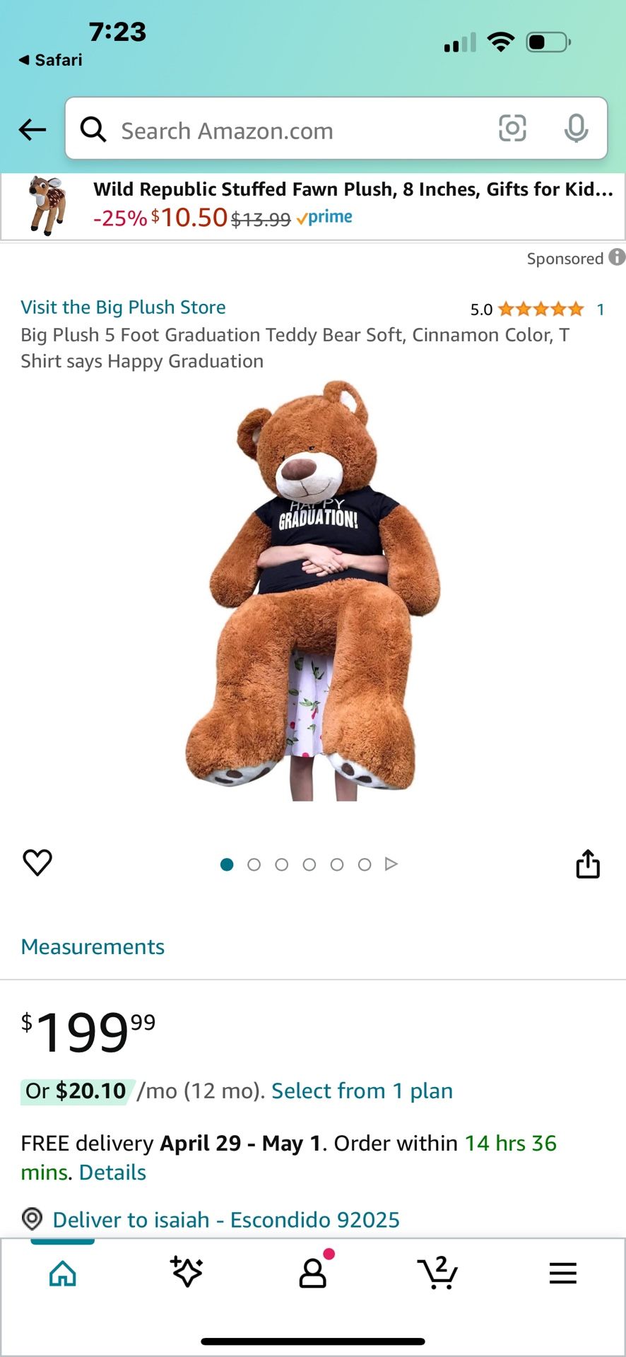 Giant Teddy Bear 