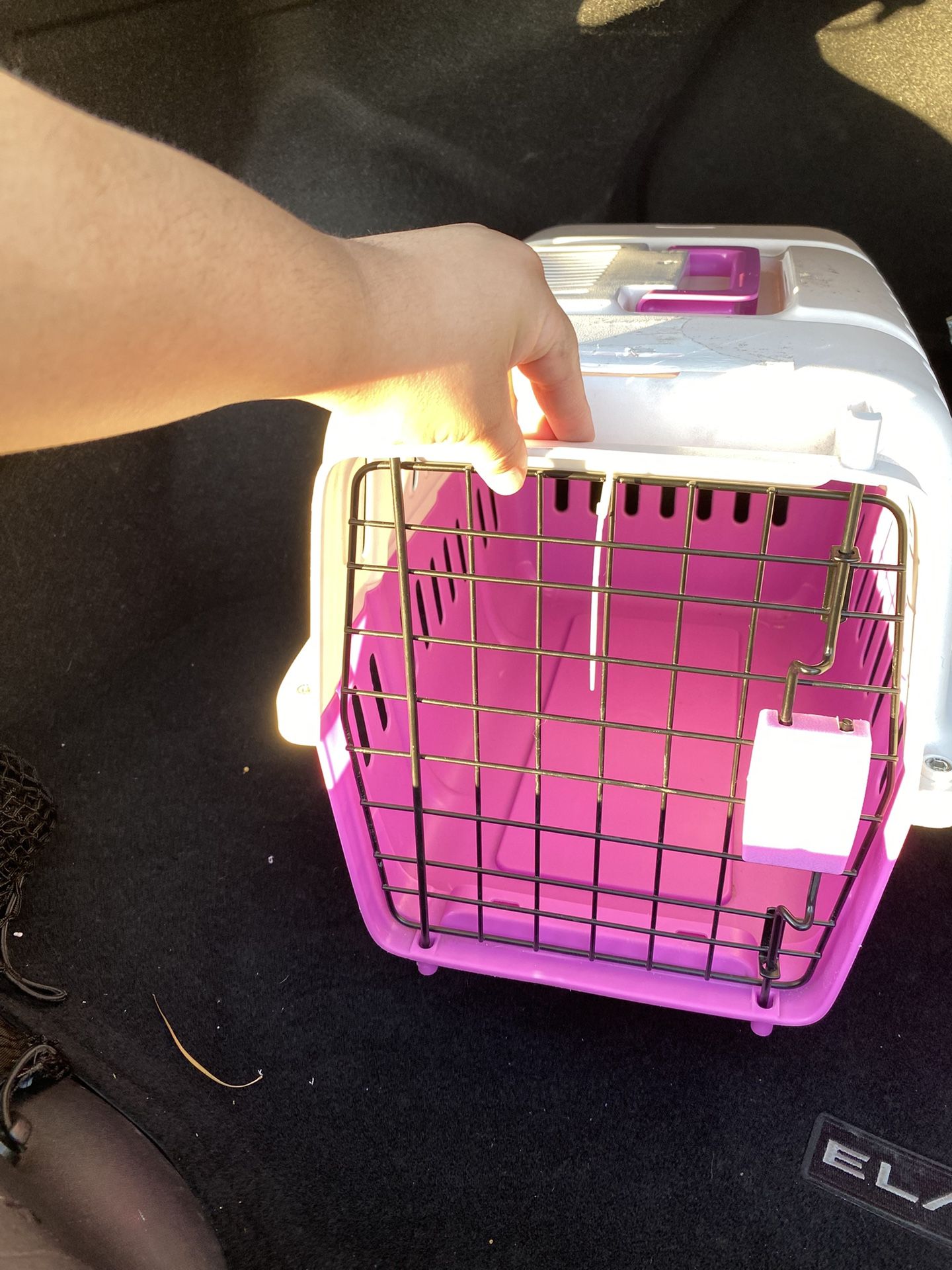 Dog Kennel