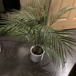 Fake Palm Plant 