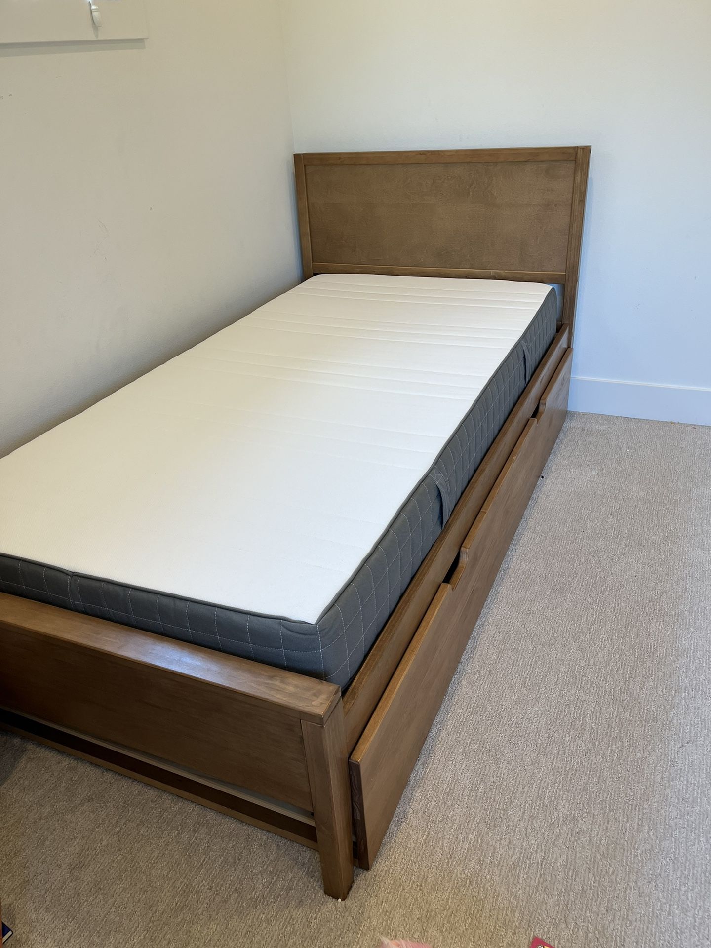 Twin Bed and pull out Trundle. Twin mattress