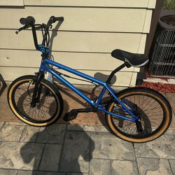 Custom BMX Pro Bike